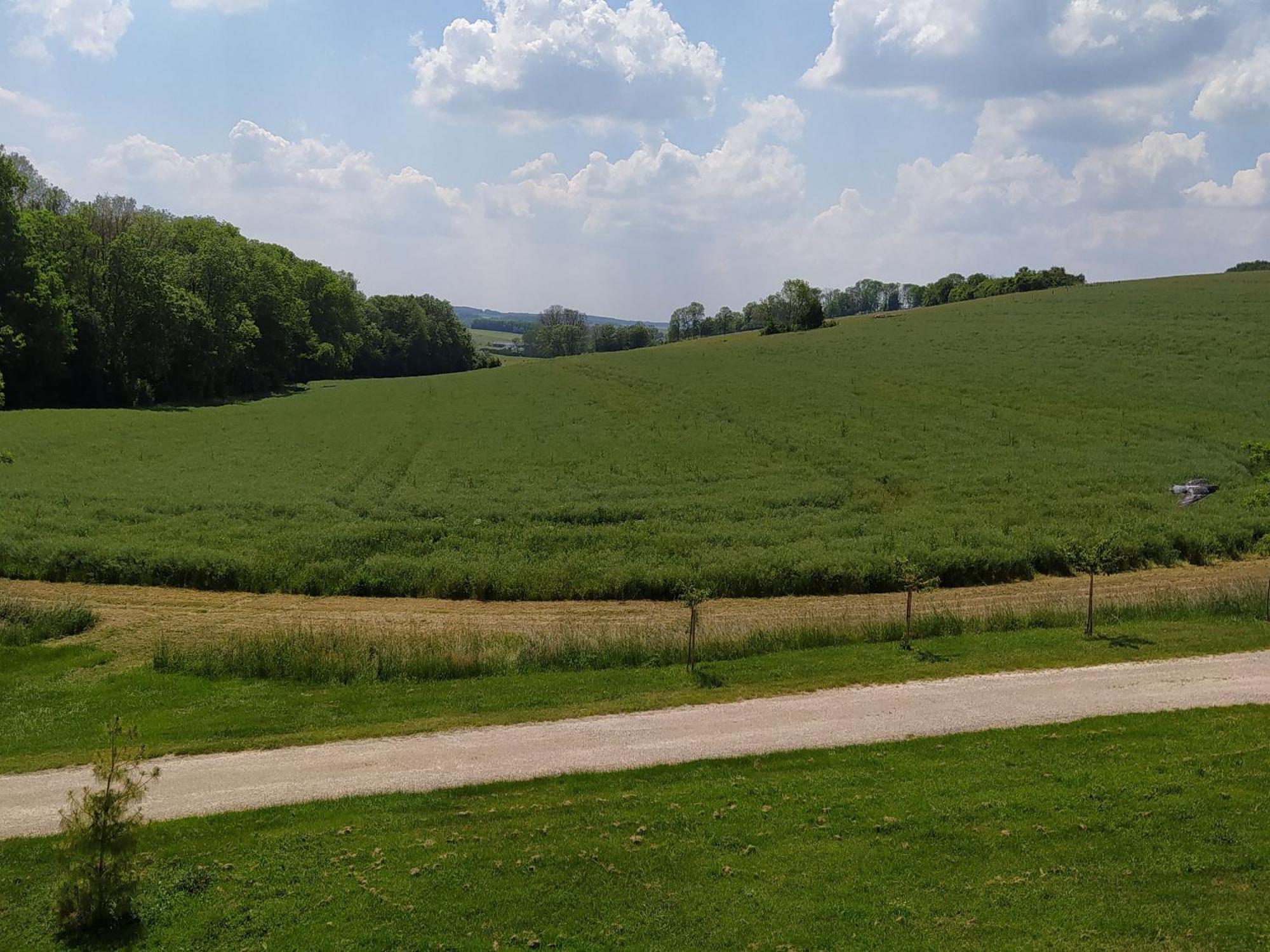 Gite Calme 4 Chambres, Terrasse Privative, Draps Inclus - Germonville - Fr-1-584-167 Exteriör bild